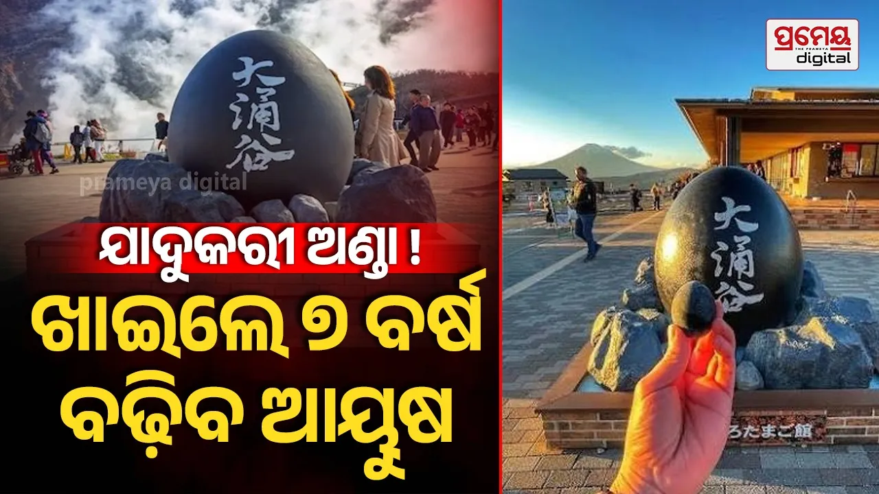 କଳା ଅଣ୍ଡାର ଅଜବ କାହାଣୀ ! ଖାଇଲେ ବଢିବ ୭ ବର୍ଷ ଆୟୁଷ ..