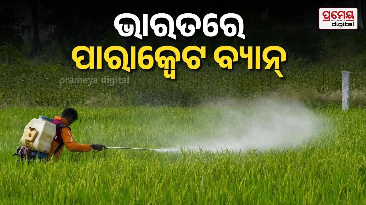 Paraquat