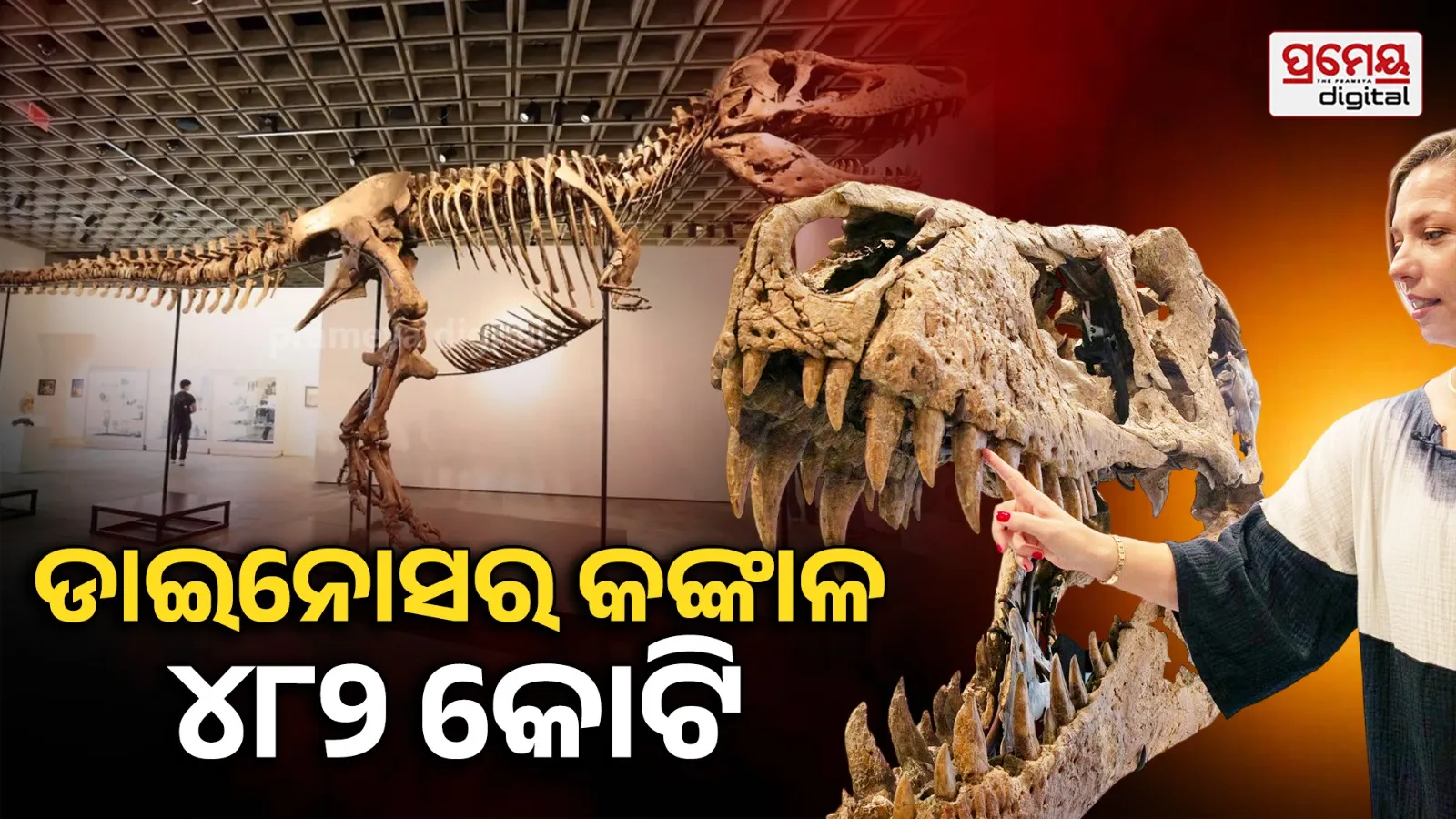 dinosaur skeleton