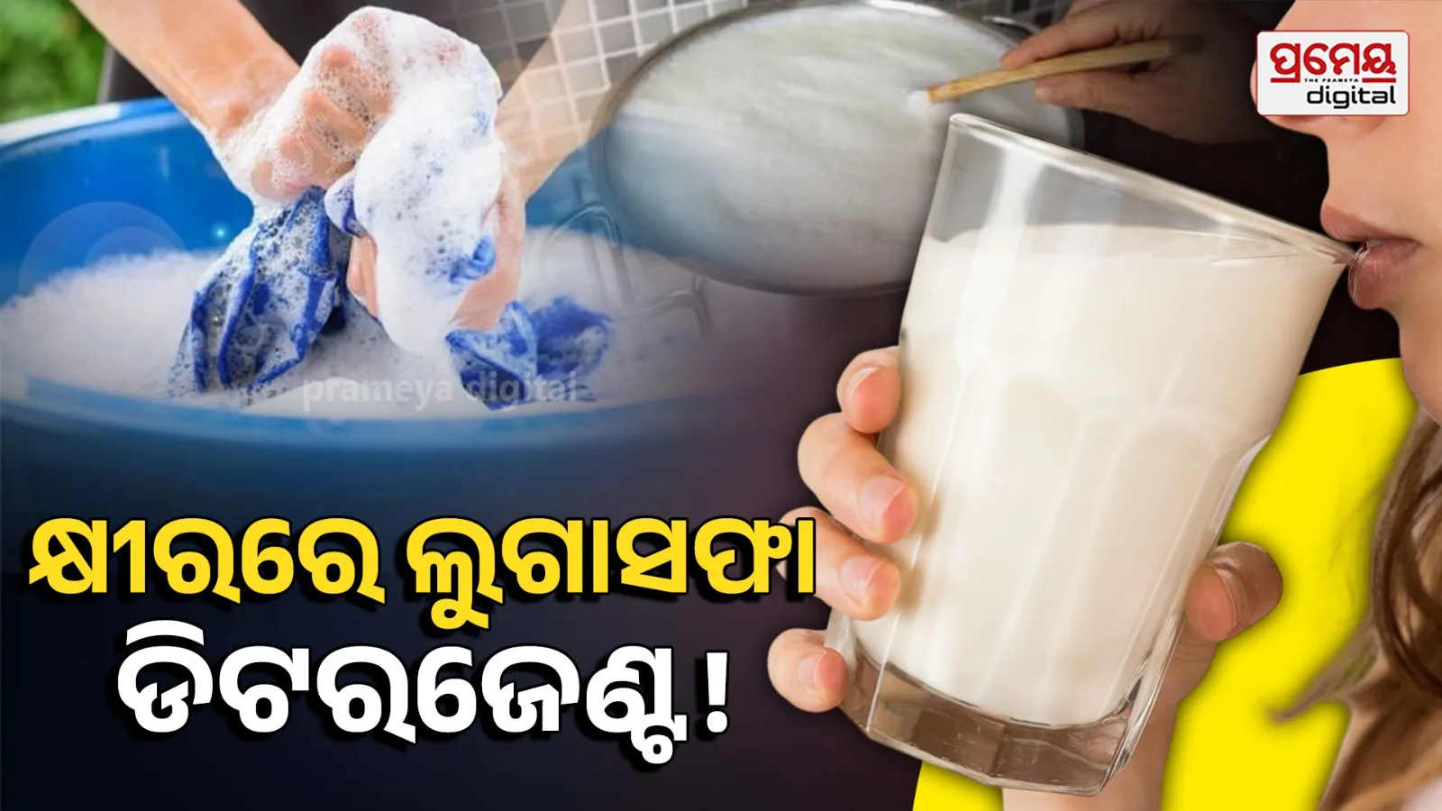 How to check milk purity at home