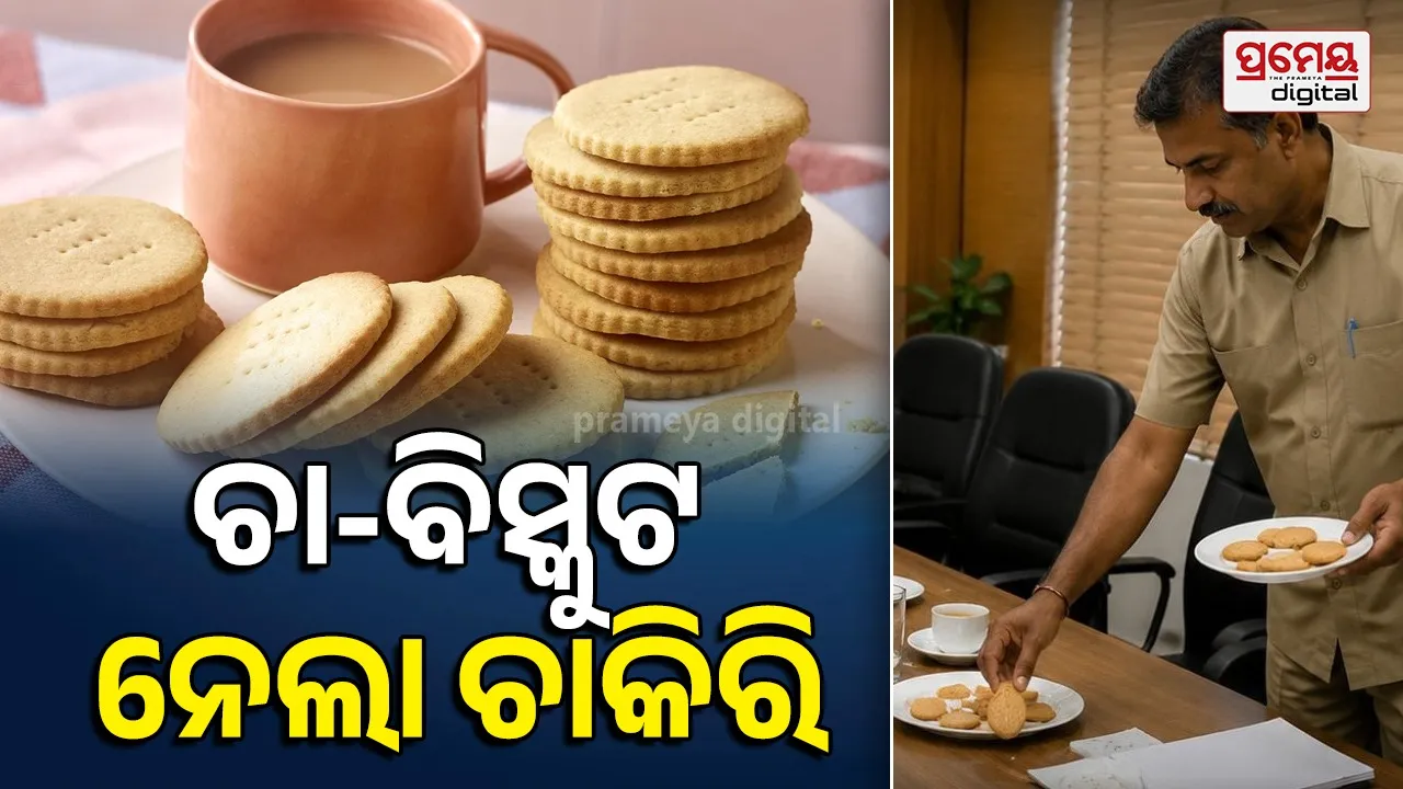 ଚା-ବିସ୍କୁଟ ପାଇଁ ଯାଇଥିଲା ଚାକିରି, ୩ ବର୍ଷ ପରେ ପୁନଃ ନିଯୁକ୍ତି ଆଦେଶ ଦେଲେ ହାଇକୋର୍ଟ