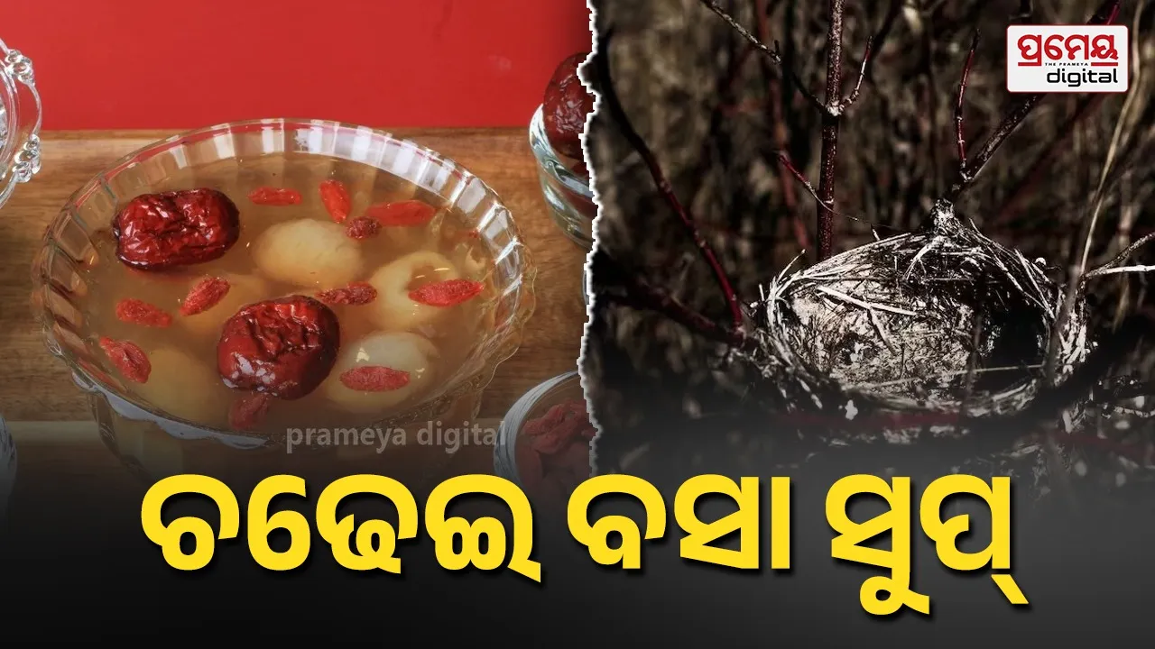 Bird Nest Soup