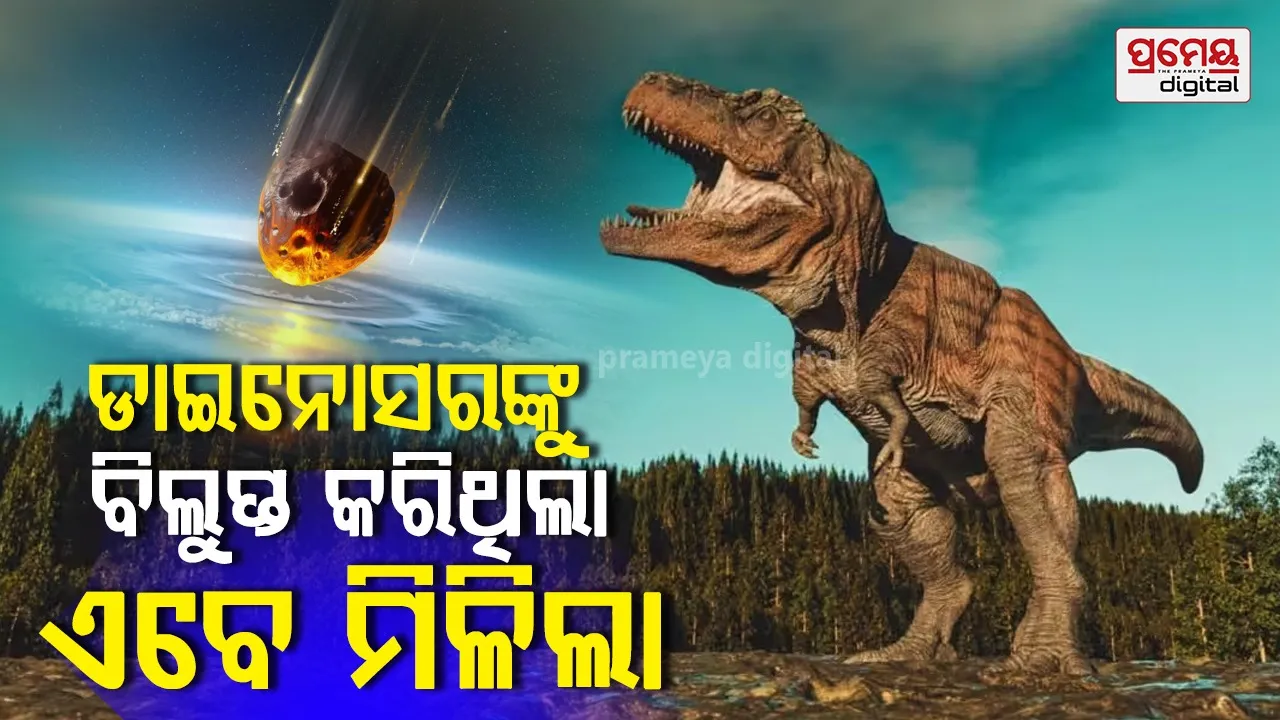 dinosaur