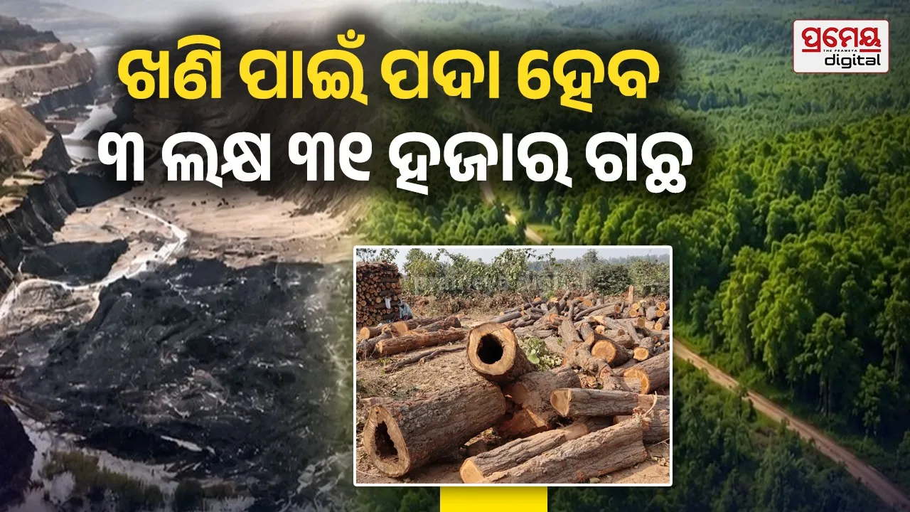 forest destruction