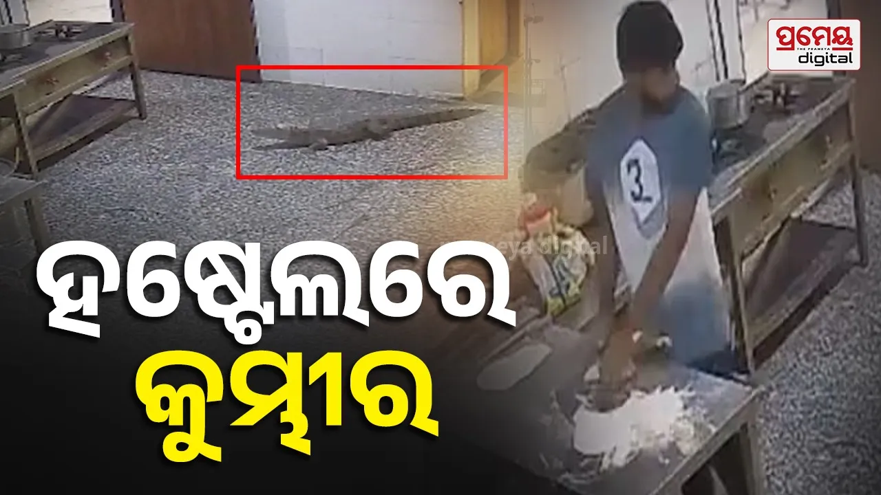 Crocodile enters Kota hostel mess
