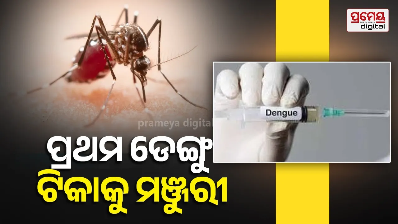 India approves first dengue vaccine