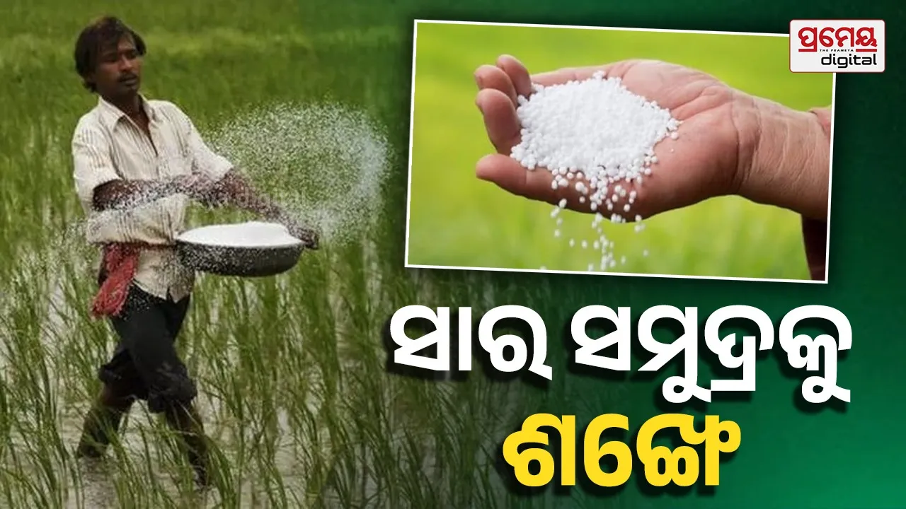 fertilizer shortage