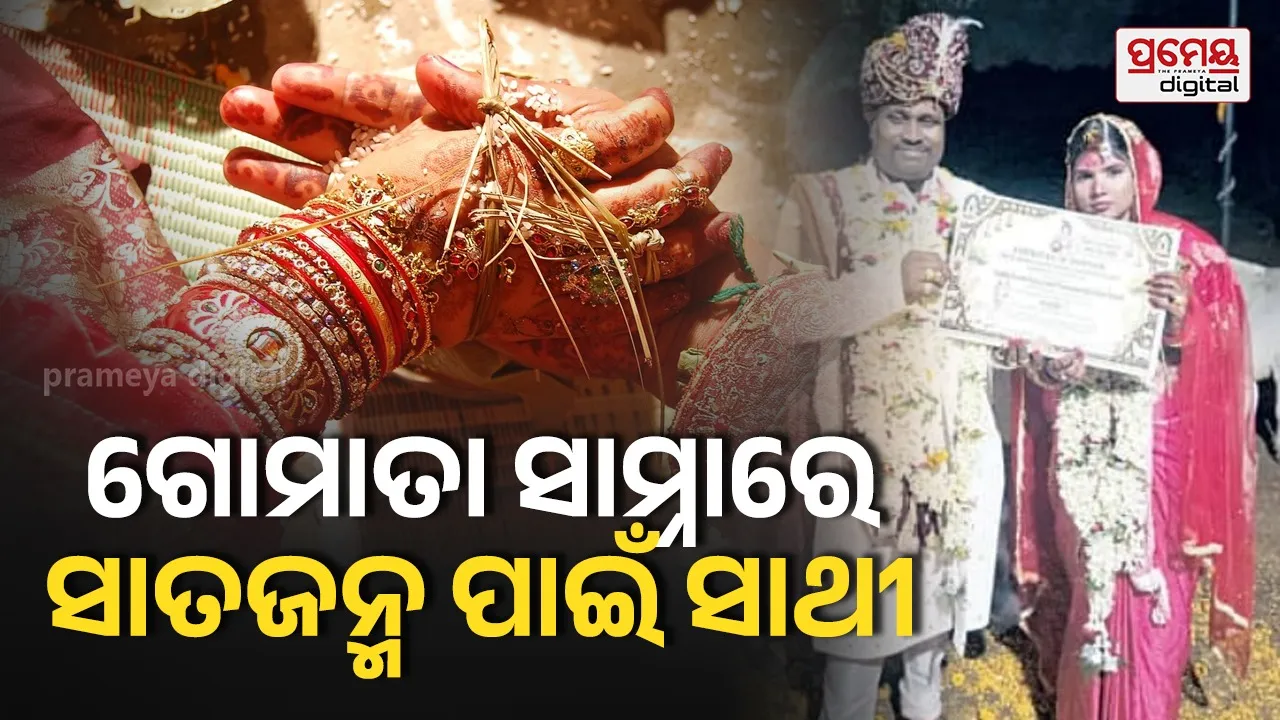 ଗୋଶାଳାରେ ହାତଗଣ୍ଠି, ଗୋମାତା ସାକ୍ଷୀ ; ନିଆରା ଦମ୍ପତ୍ତି ସଂଗ୍ରାମ ଓ ଶୁଭଲକ୍ଷ୍ମୀ