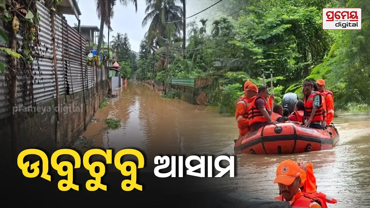 Assam flood crisis