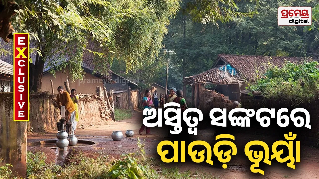Paudi Bhuyan