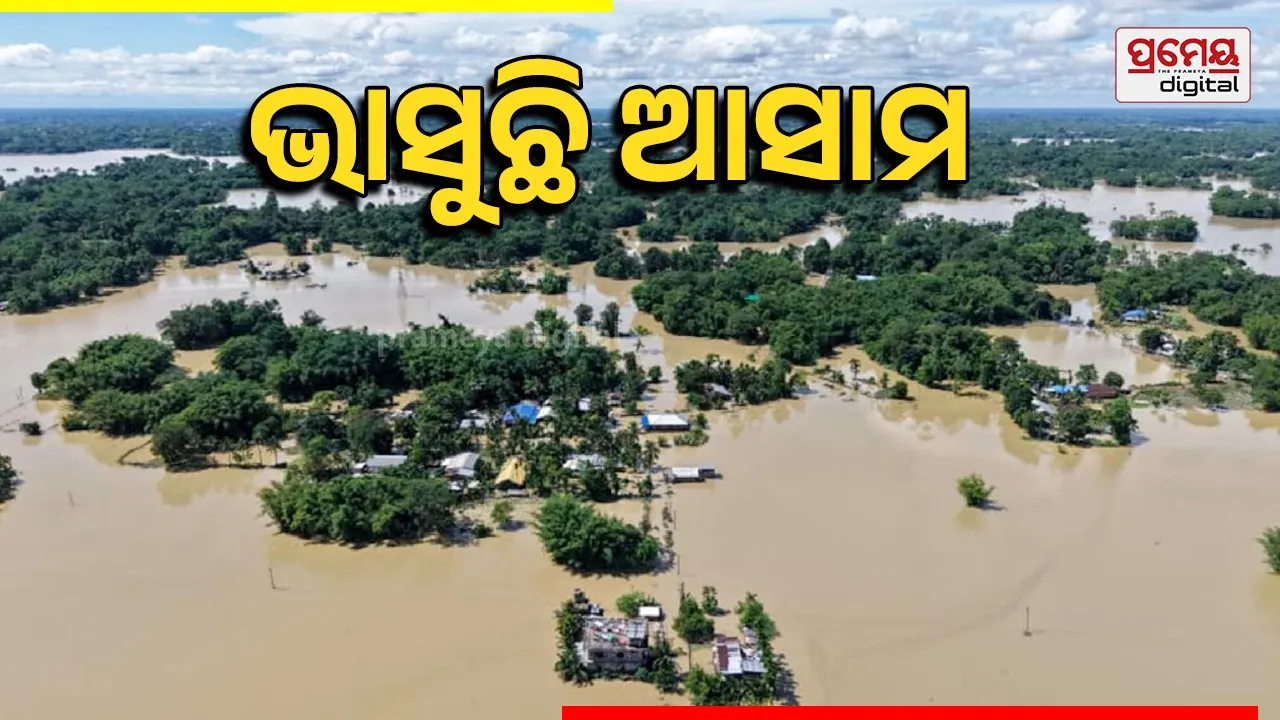 Assam Flood