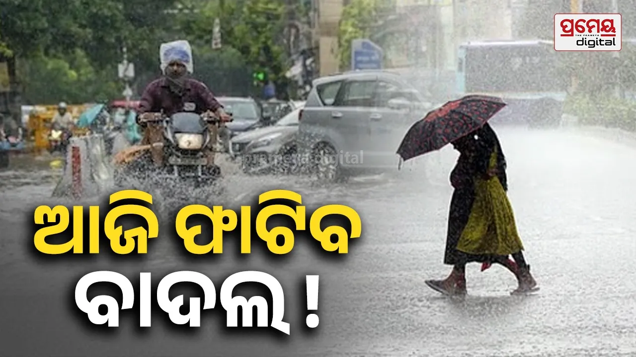 rain  