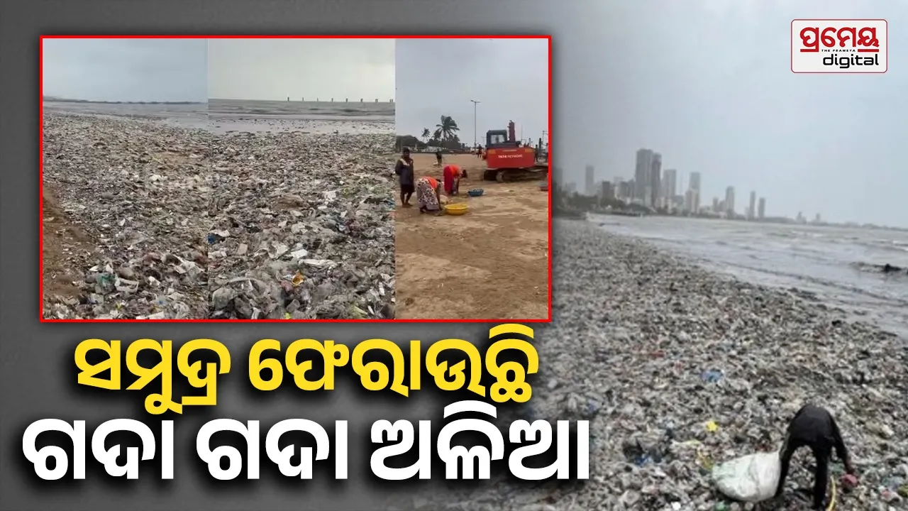 Student Mark: ସୋସିଆଲ ମିଡିଆରେ ଭାଇରାଲ IIT ବମ୍ବେ ଛାତ୍ରଙ୍କ ମାର୍କସିଟ୍, ୬୦୦ରୁ ରଖିଛନ୍ତି ୬୦୦ ନମ୍ବର