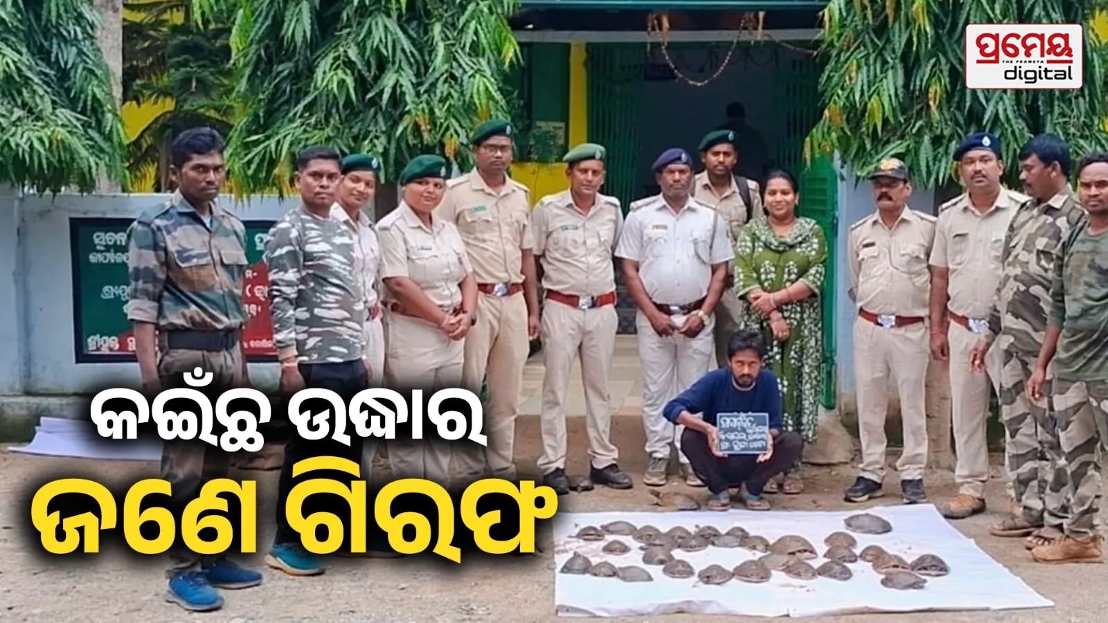 କଇଁଛ ଚୋରା ଚାଲାଣ ବେଳେ ମାଡ଼ି ବସିଲା ବନ ବିଭାଗ, ଜଣେ ଗିରଫ