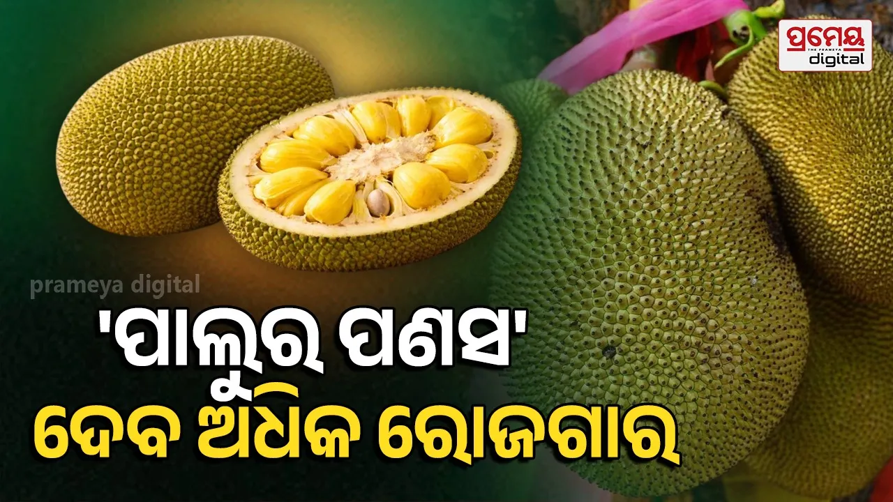Jackfruit Day
