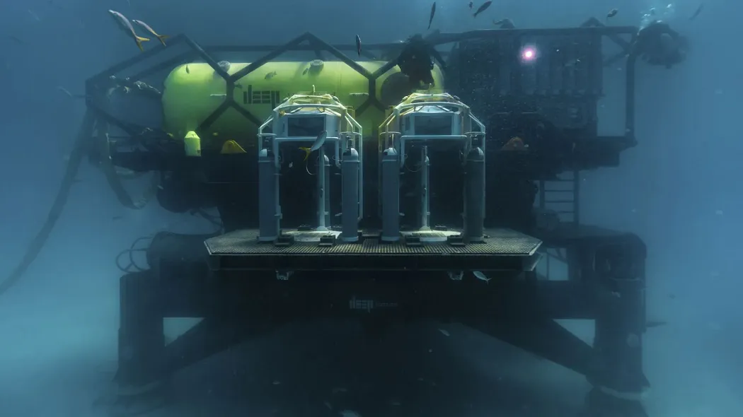 Marine Habitat
