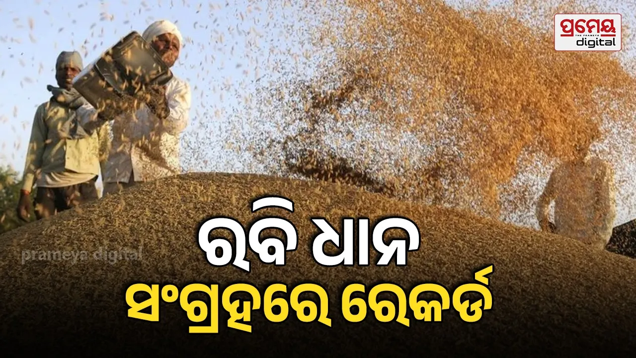 paddy procurement