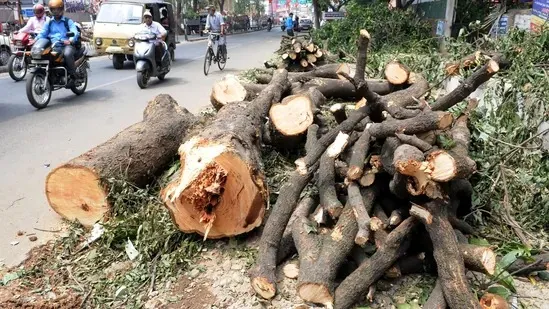 odisha 