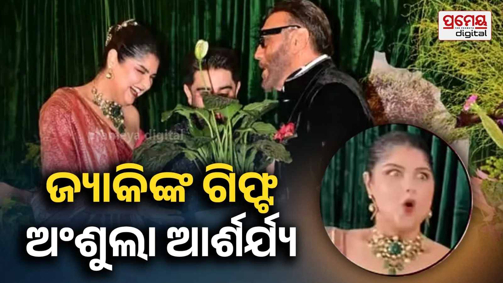 ଅଂଶୁଲାଙ୍କୁ ଏହି ଗଛ ଉପହାର ହେଲେ ଜ୍ୟାକି ଶ୍ରଫ୍, ଭାଇରାଲ ହେଉଛି ଭିଡିଓ...