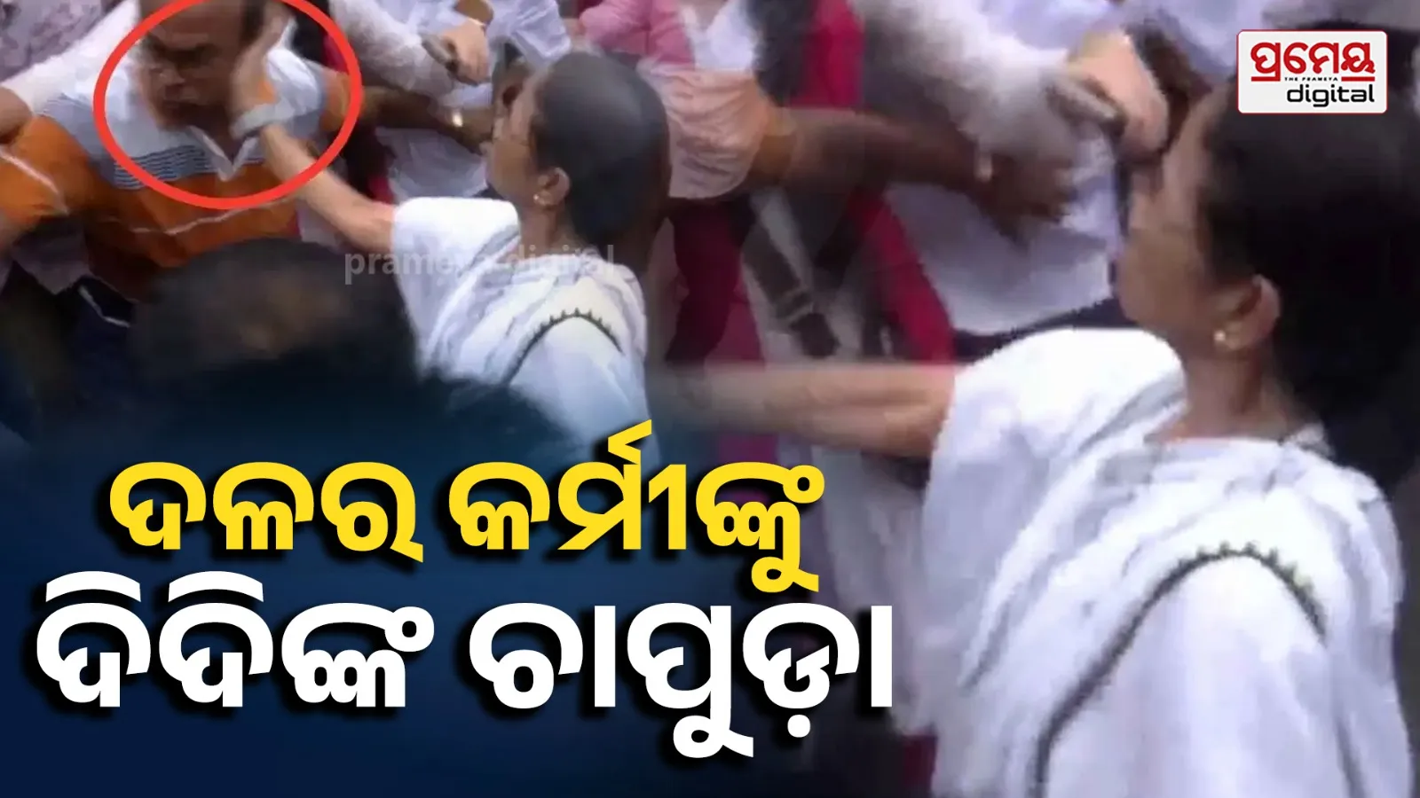ବିରୋଧ ପ୍ରଦର୍ଶନ ବେଳେ ଭିଡ଼ ଭିତରେ ନିଜ ଦଳର କର୍ମୀଙ୍କୁ ଚାପୁଡ଼ା ମାରିଲେ ମମତା