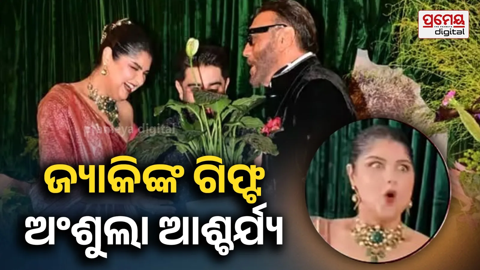 Why Jackie Shroff Gifted a Peace Lily to Anshula Kapoor and Rohan Thakkar: Know Its Benefits