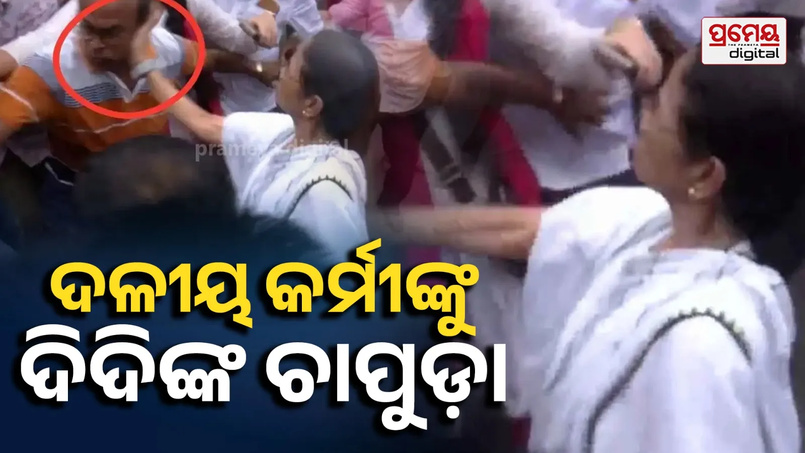 Mamata Banerjee Slaps TMC Worker During Baruipur Protest, Sparks Political Buzz