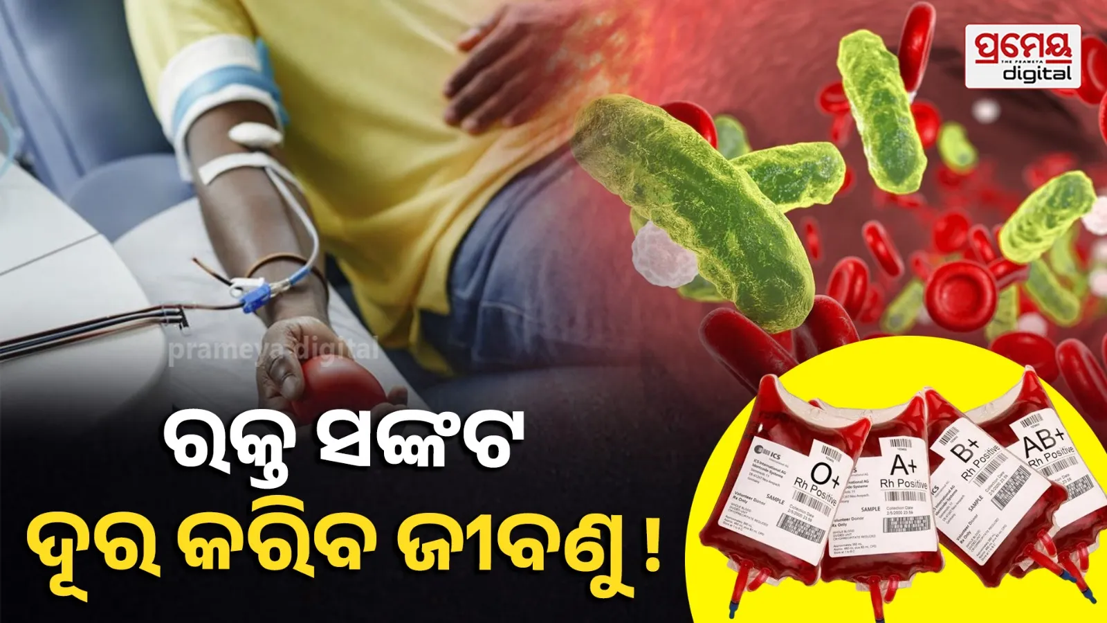 ରକ୍ତ ସଙ୍କଟ ଦୂର କରିବ ଜୀବଣୁ ! ଯେକୌଣସି ରକ୍ତ ଗ୍ରୁପକୁ O-ନେଗେଟିଭରେ ବଦଳାଇବ